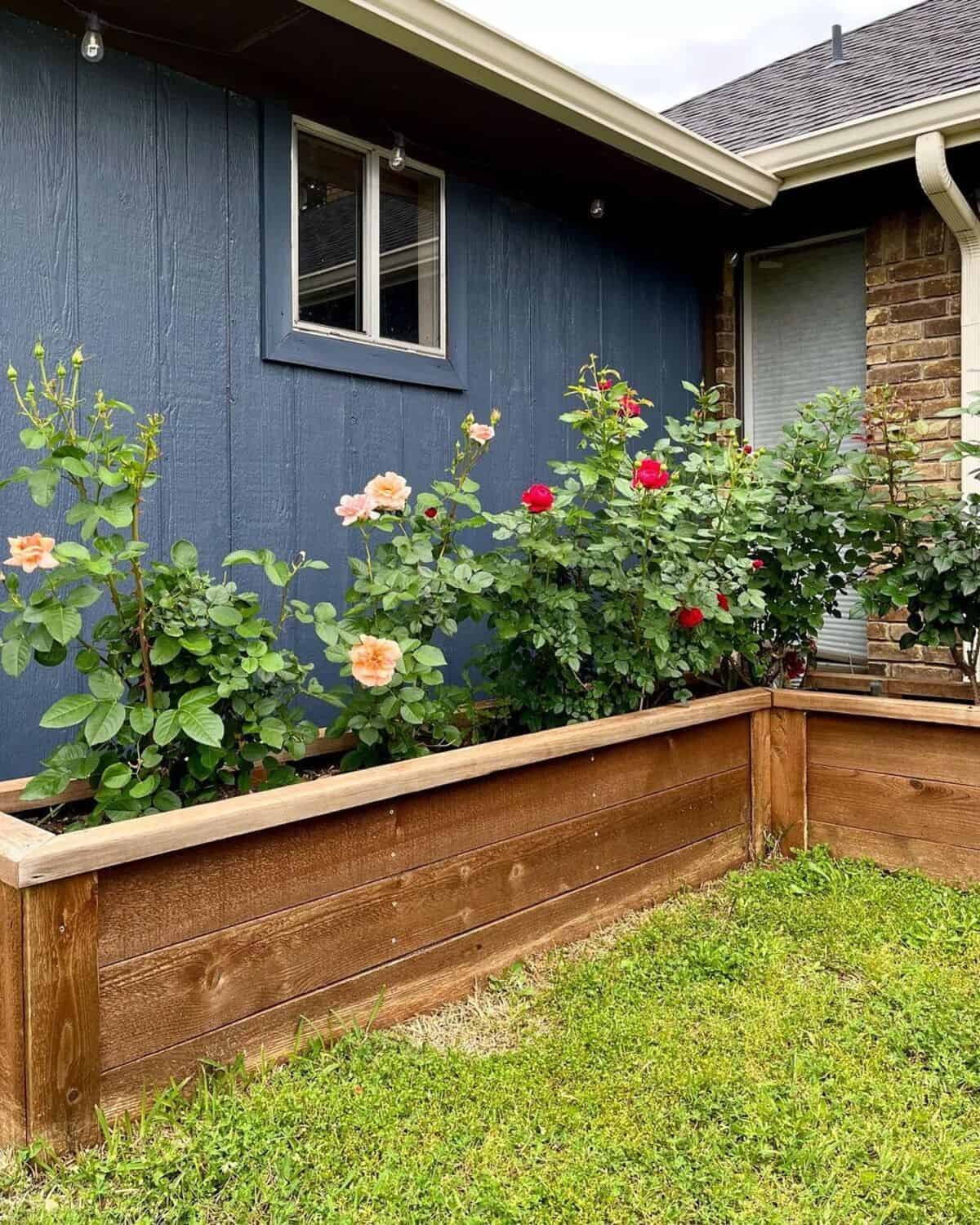 Flower Beds Lined Up With Wooden Boards