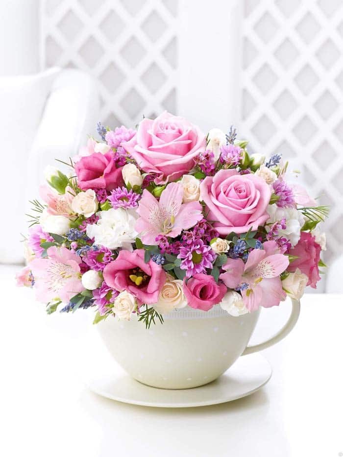 Austrolmaria, Mums, and Roses in a Teacup