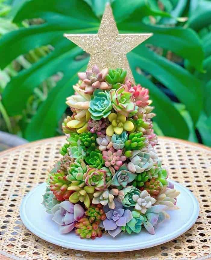 Bring Glamour to Your Table with a Mini Succulent Tree