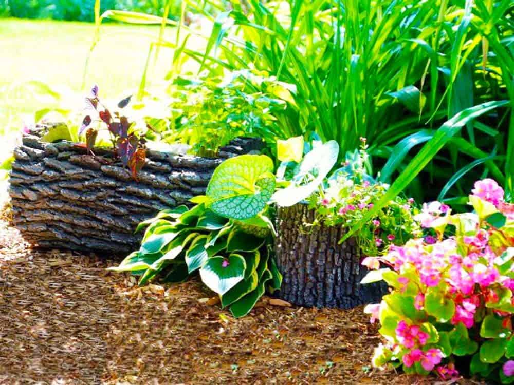 Log Planters Display