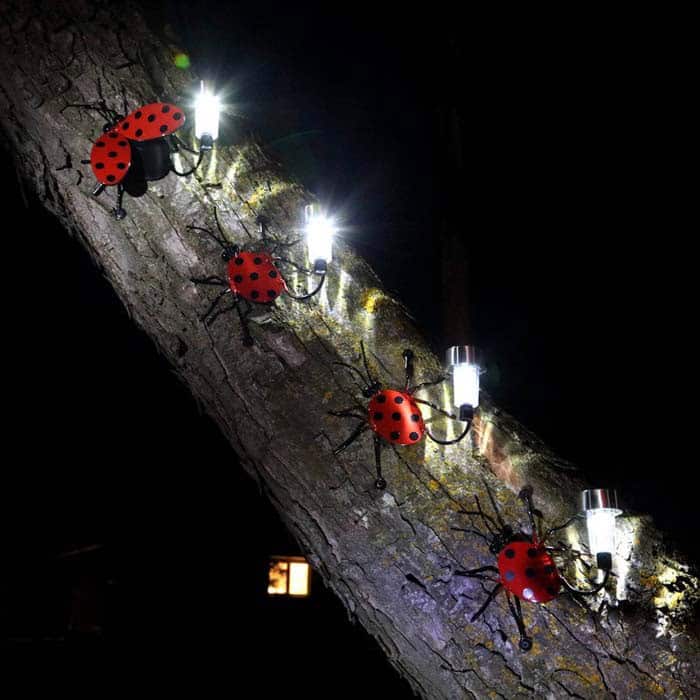 Create a Magical Glow with a Lit Ladybug Family