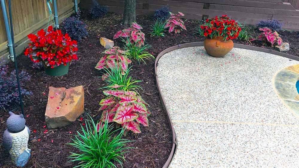 Vibrant Patio Borders