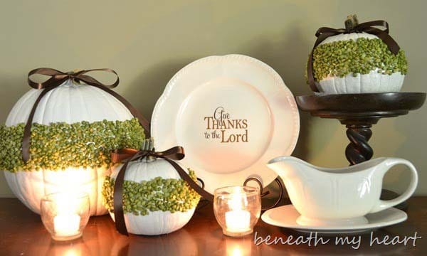 Showcase Skills with Moss Accented White Pumpkins