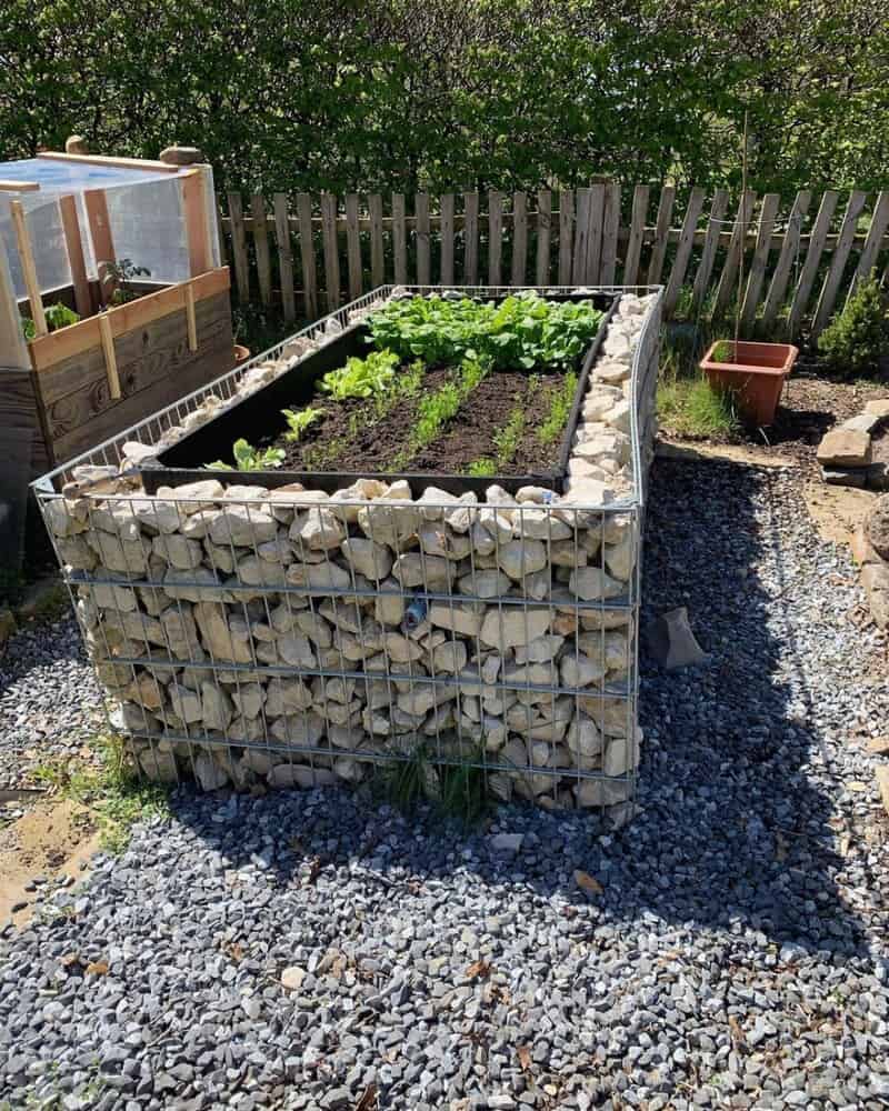 Gabion Raised Garden Bed