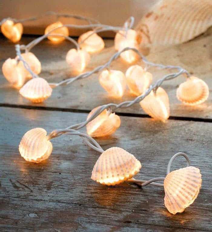 Light up Your Seashell Collection