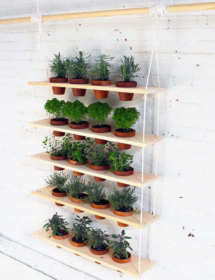 Hanging Shelf Herb Garden