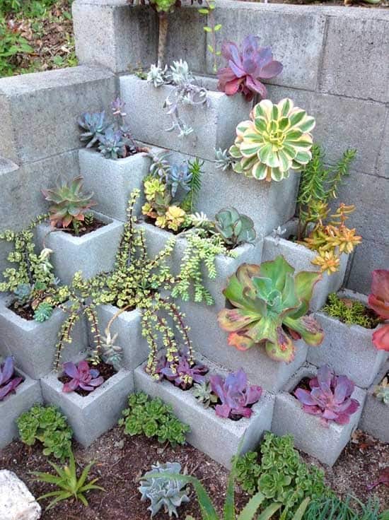 Transform Your Home with Cinder Block Succulent Planters