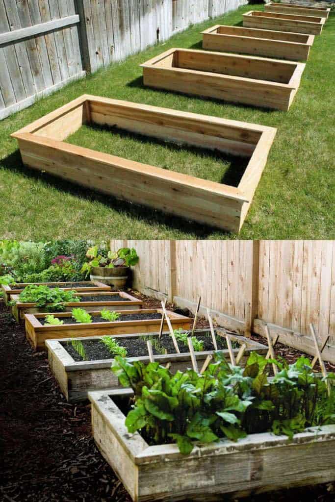 Garden Bed Template Unifies Landscape