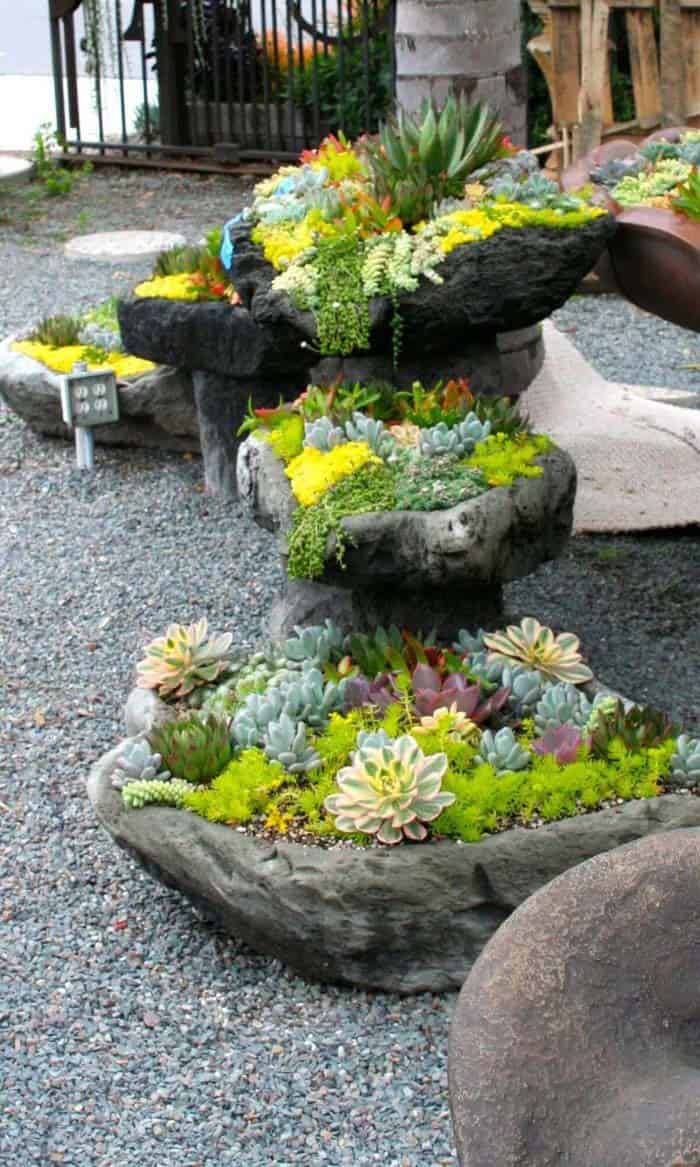 Stone Planters Are Perfect for Succulents