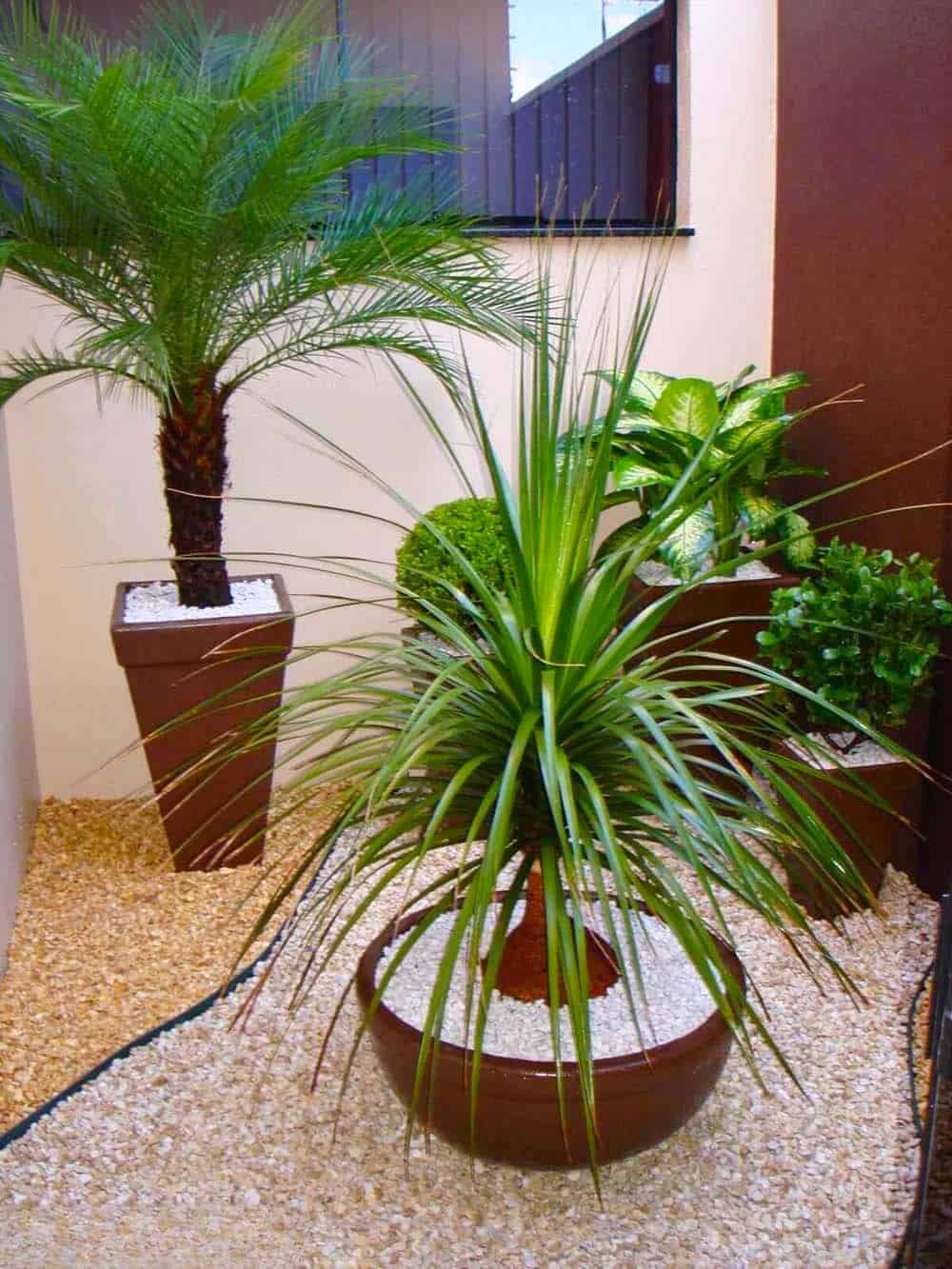 Potted Palm Arrangement