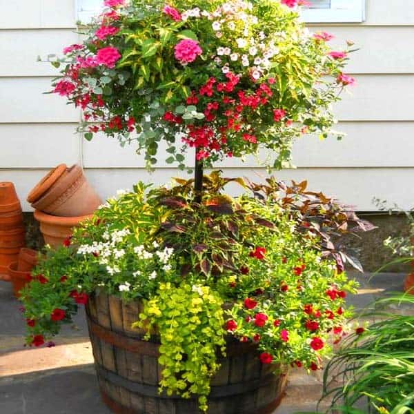 Give Your Wine Barrel Planter a Tree Look