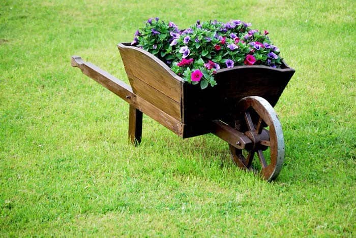 Wooden Wheelbarrow Becomes Flower Box