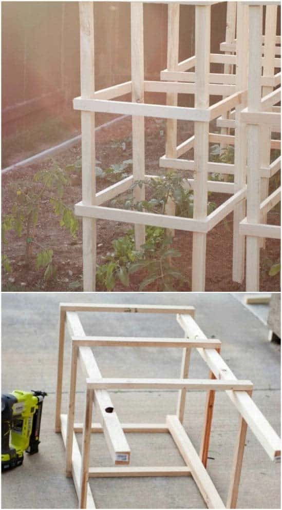 Easy To Make Tomato Cage