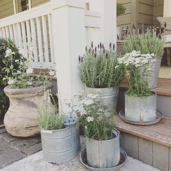 Elevate Your Porch Steps with Metal Bucket Planters