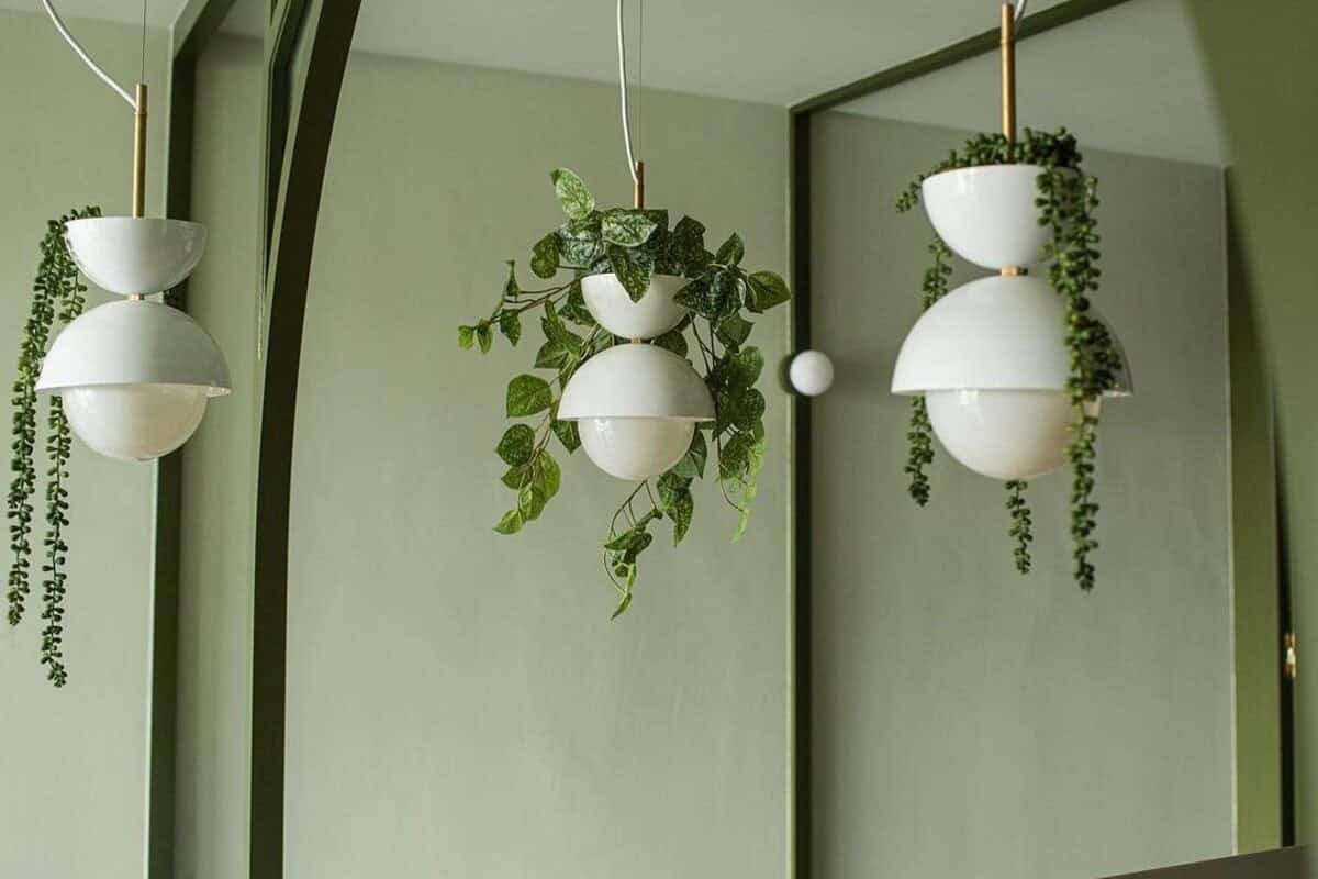 Plantable Light Fixtures