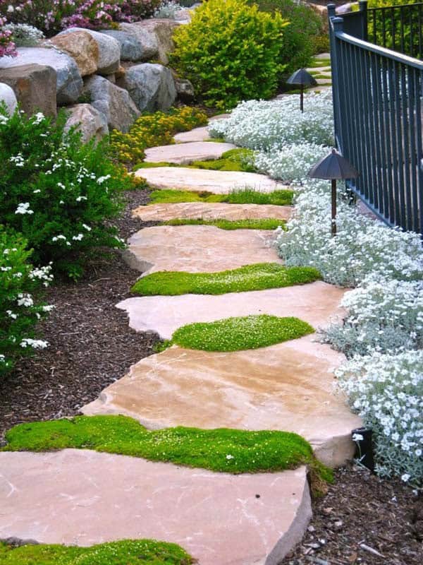 Stepping stones with grass accent