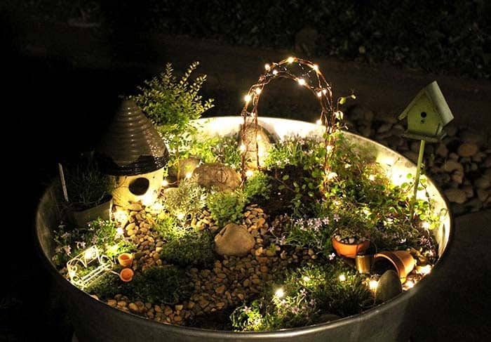 Illuminate Your Garden with Entrancing Lights