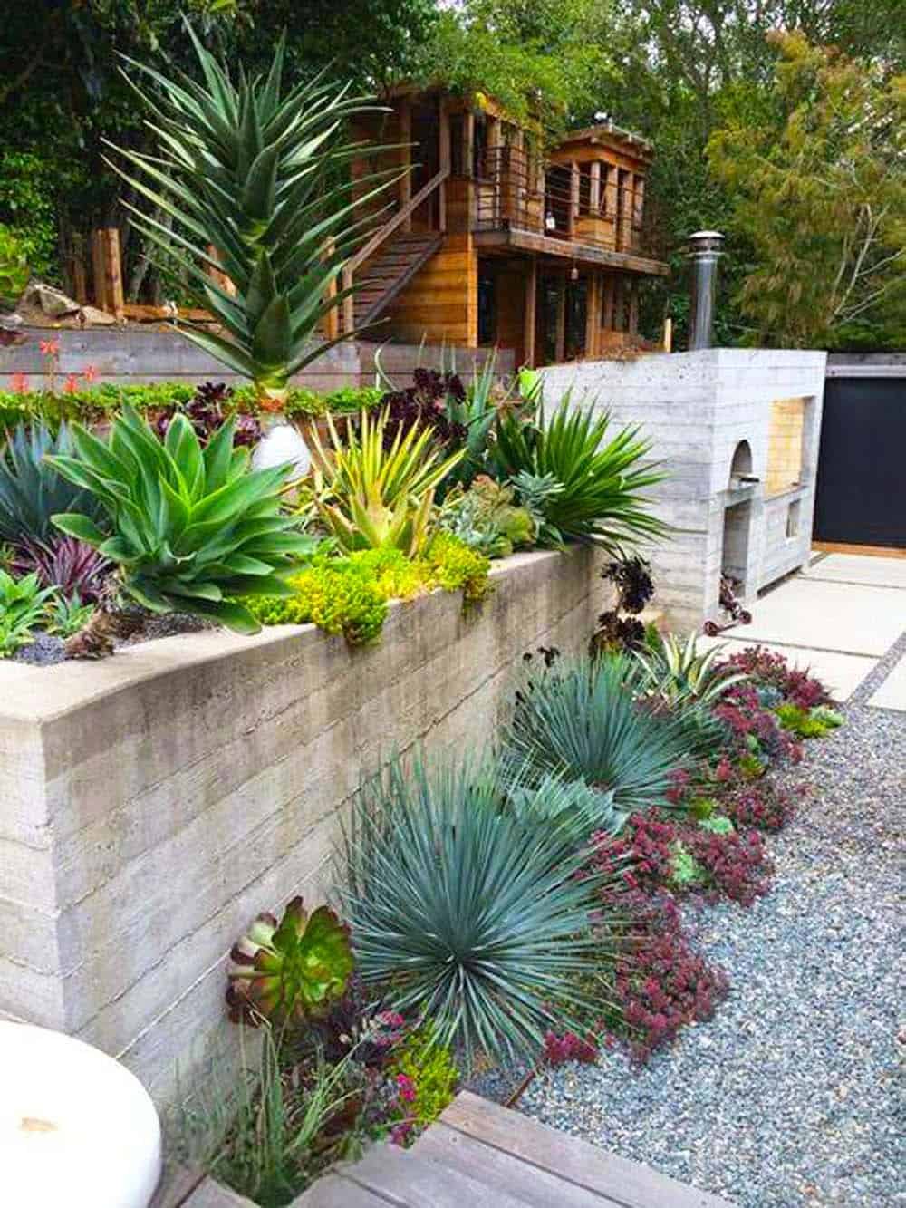 Succulent Urban Oasis