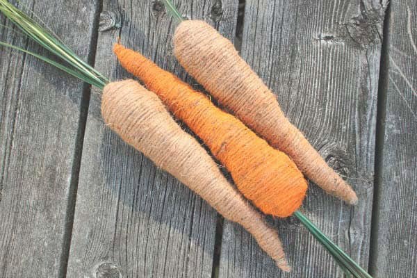 Add Color to Easter with String Carrots