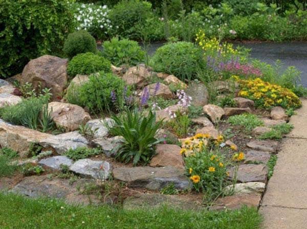 Add a Pop of Color to a Rock Garden with Flowers