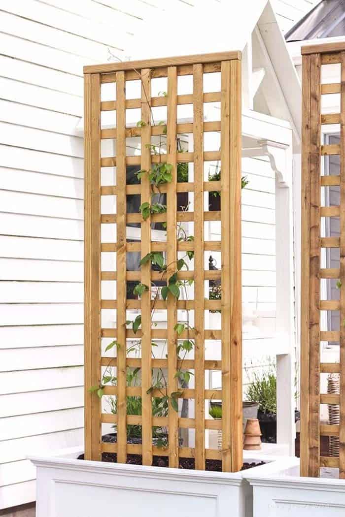 Vertical Flower Box Trellises