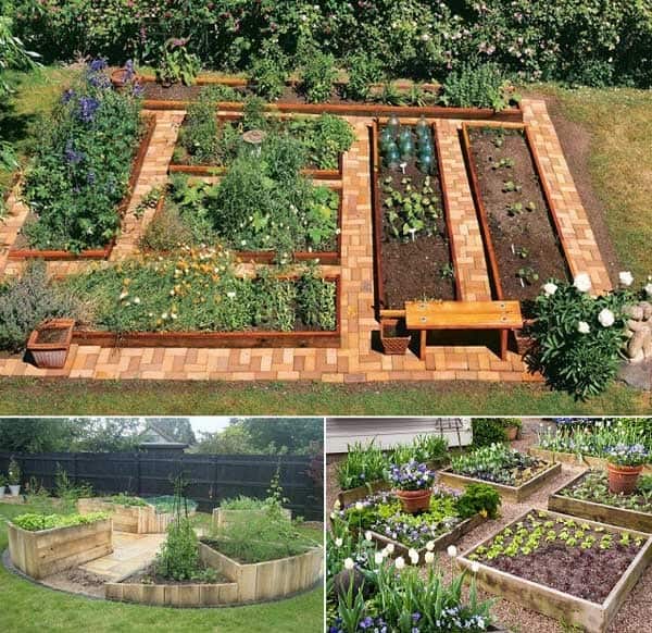 Perky Narrow Paths Between the Raised Beds