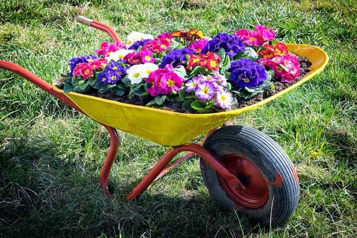 Custom Painted Garden Wheelbarrow Planter