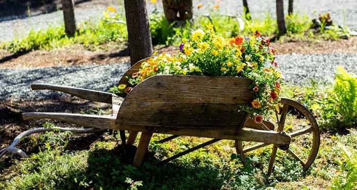 Antique Wooden Wheelbarrow Looks Right at Home