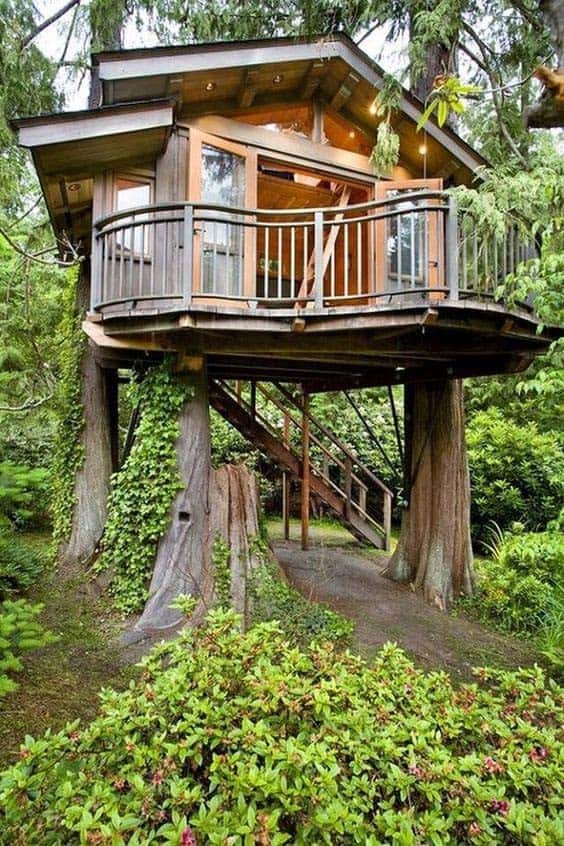 Elevated Guesthouse In The Trees