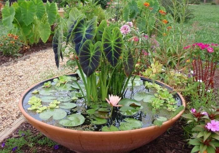 Crafting a Clay Zen Garden