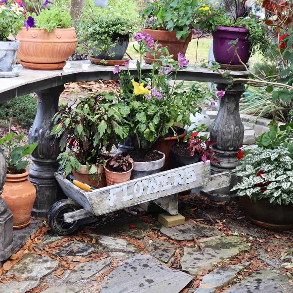 Wooden Wheelbarrow Garden