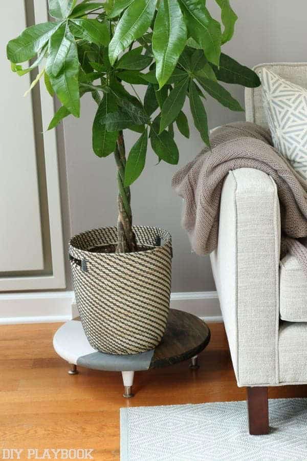 Build A Custom Painted Plant Stand