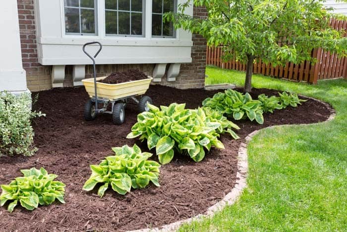 Use Mulch To Create Contrast