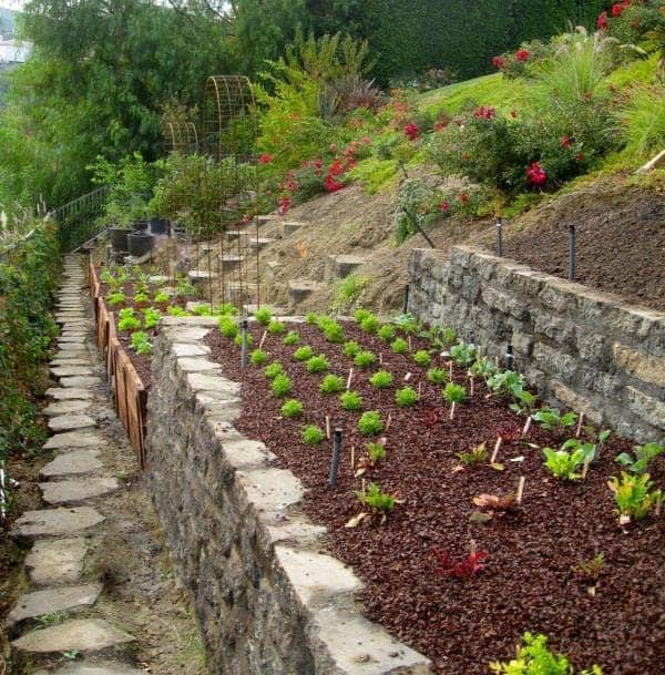 Get a Polished Look with Raised Garden Beds