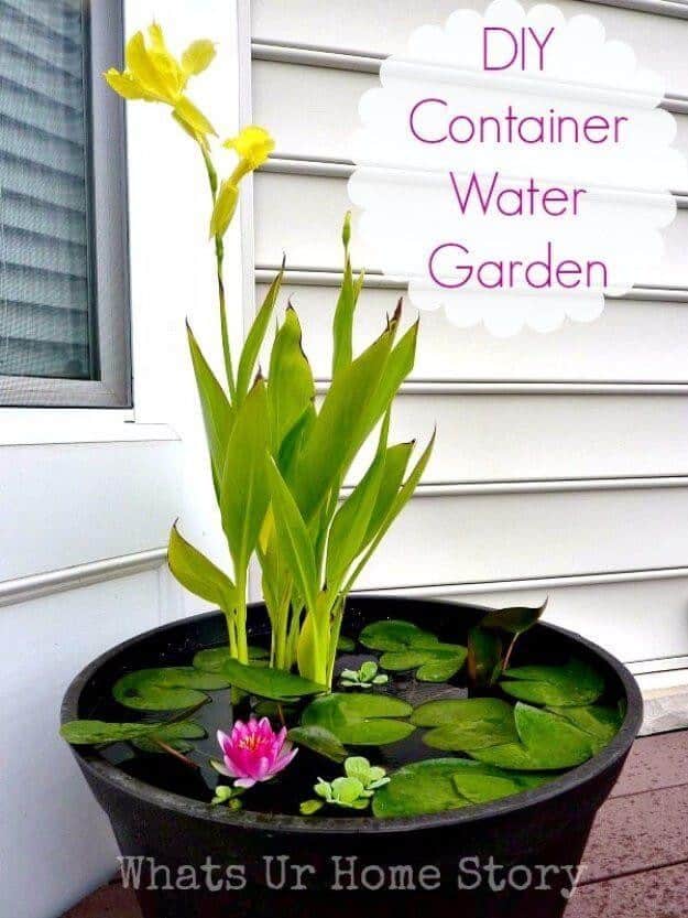 Create a Mini Water Garden Oasis