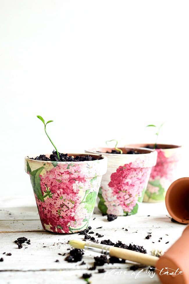 Turn Dollar Store Pots into Designer Pots with Decoupage