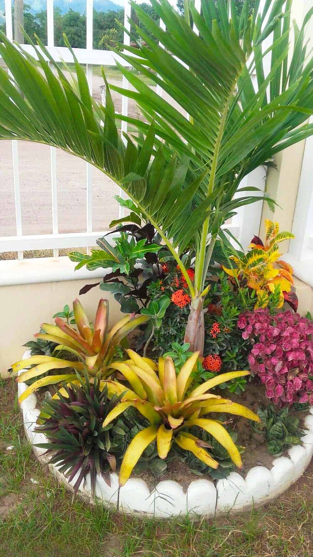 Tropical Corner Ensemble