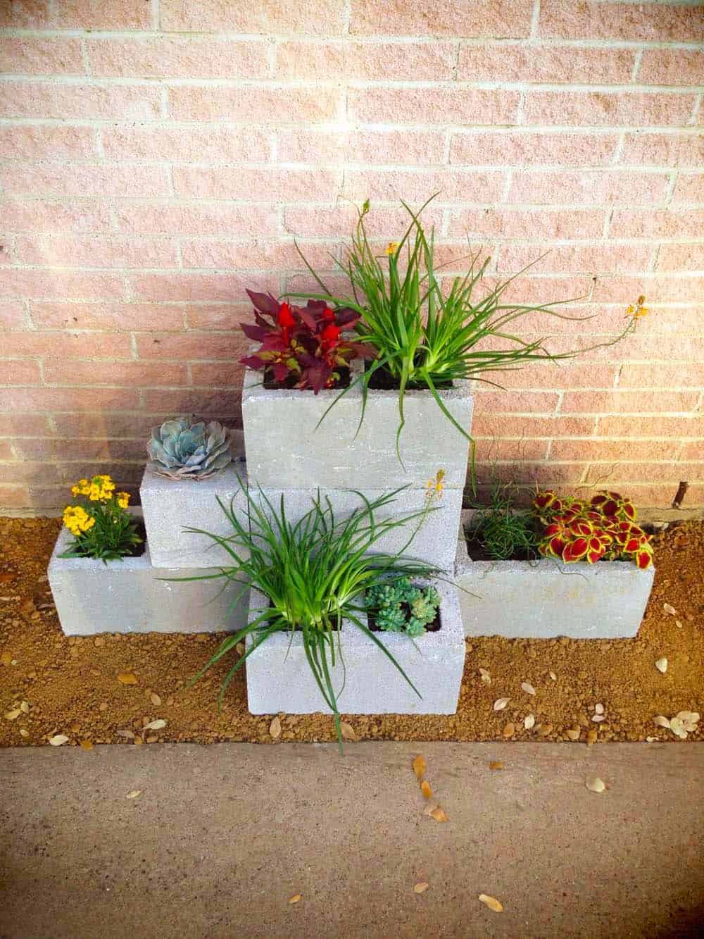 Cinder Block Succulent Garden