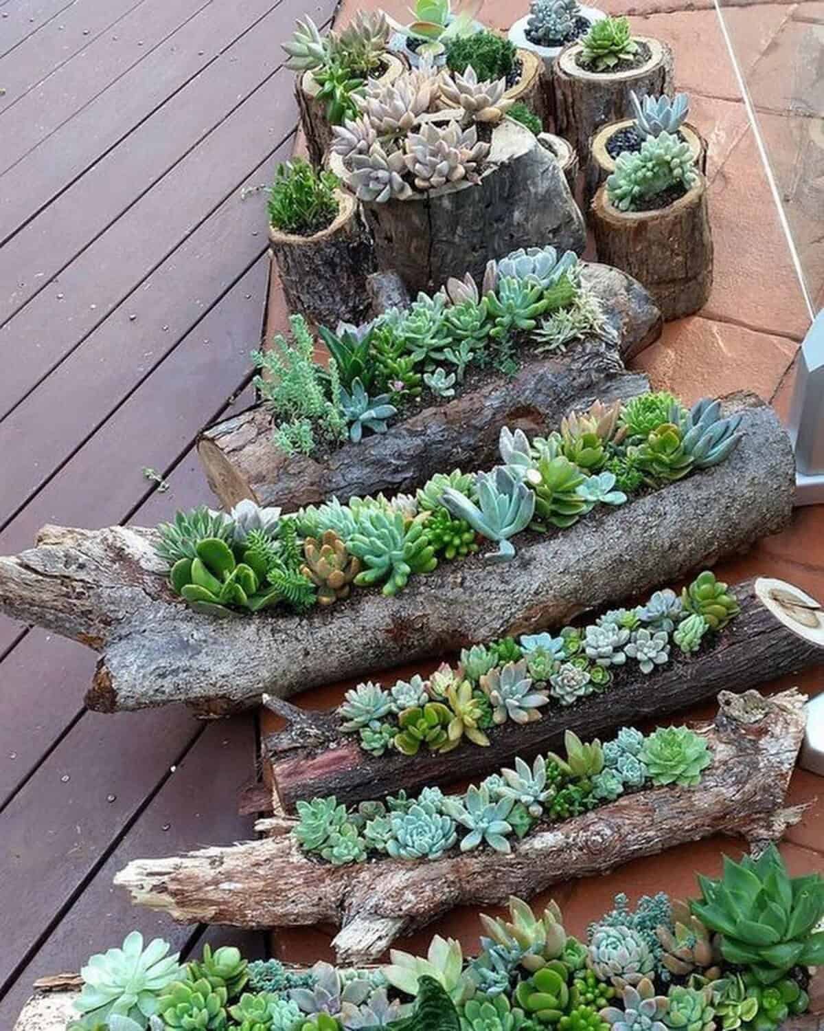 Logs And Driftwood Pots