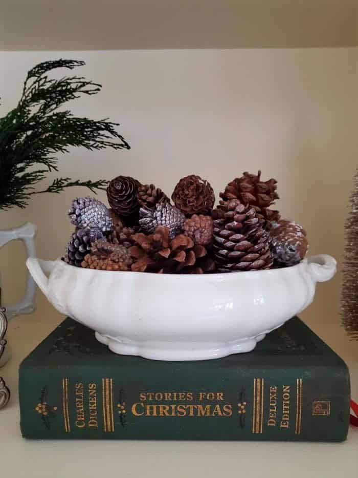 Farmhouse Bowlful Of Pinecones