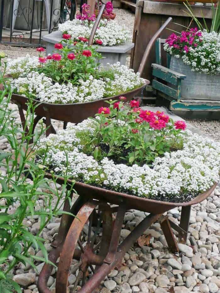 Old Wheelbarrows Get A New Life