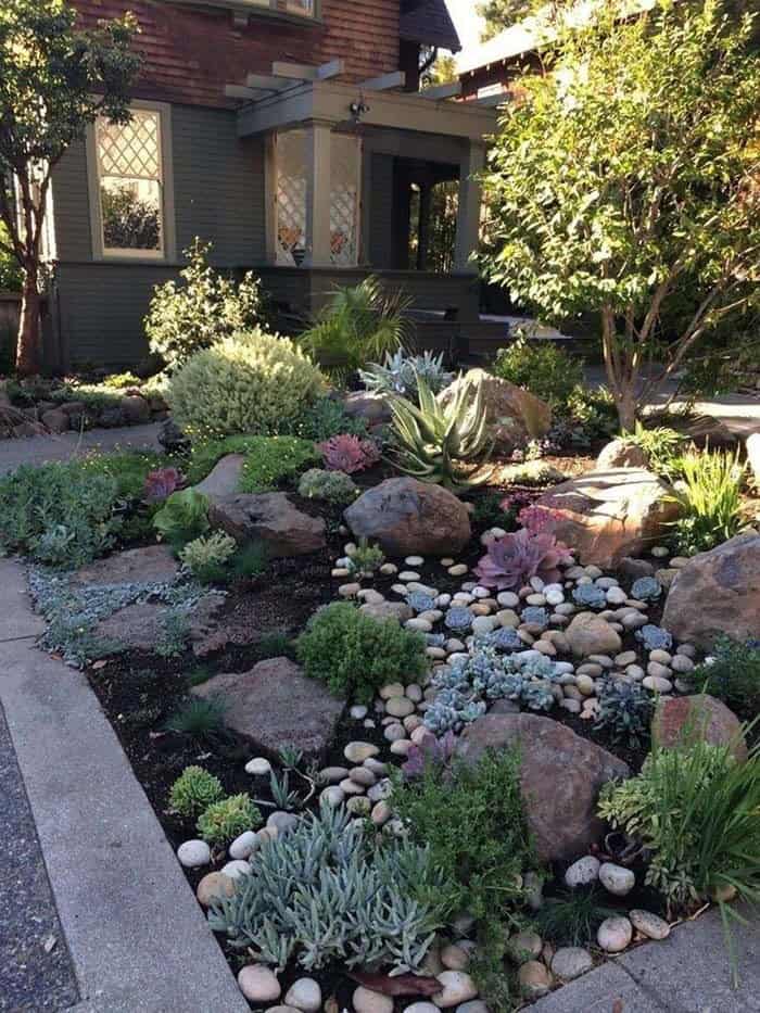 Water Wise Garden