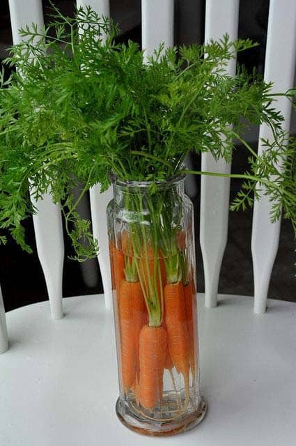 Simple Table Centerpiece Using Carrots