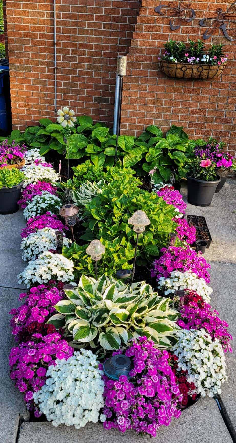 Small Garden With Dianthus