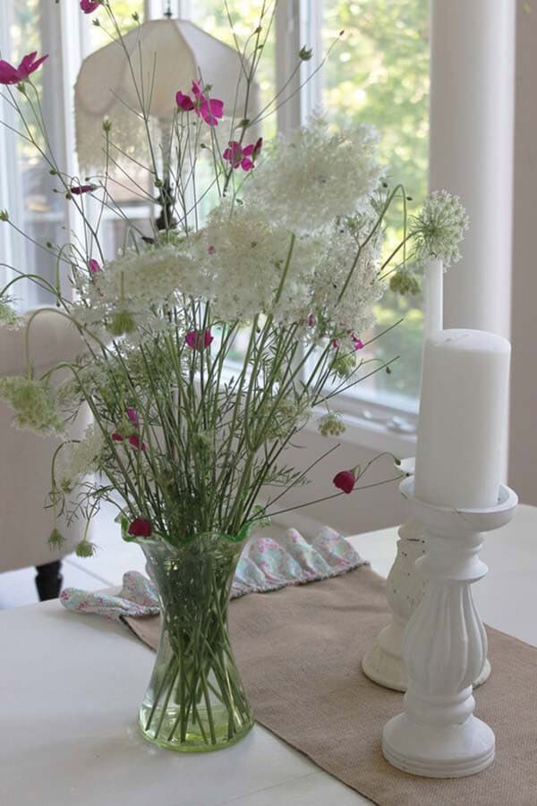 Poppy Mallows Pop Against Queen Anne’s Lace