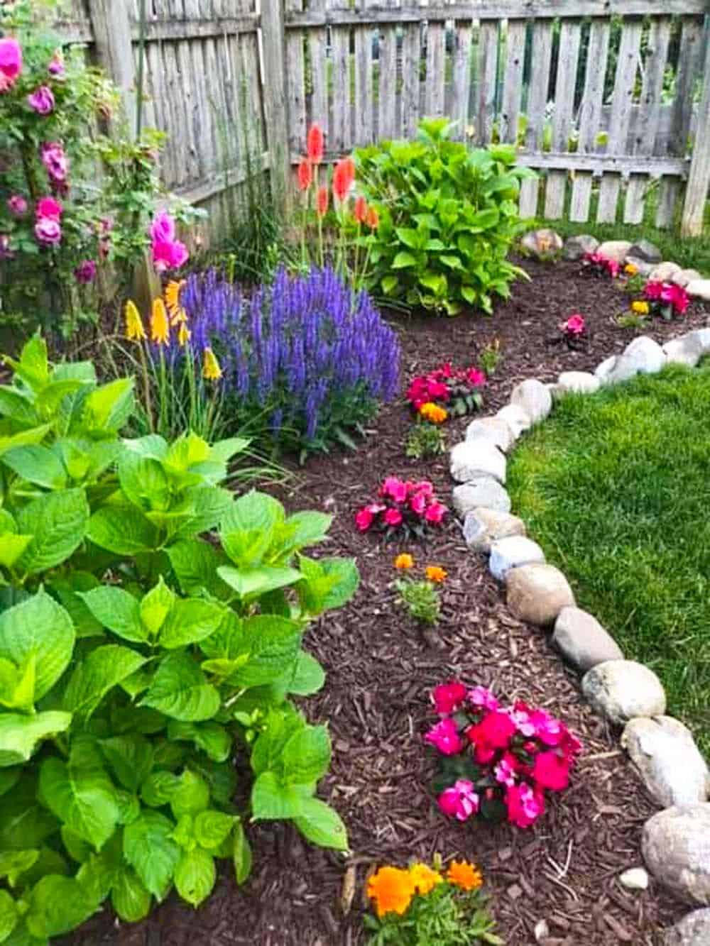 Cottage Garden Border