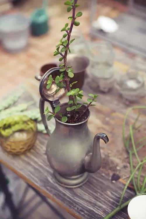 Add Vintage Charm to Your Décor with an Teapot Planter