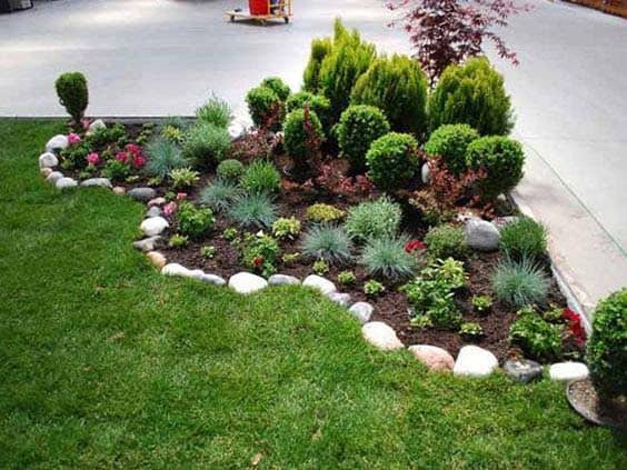 Protect Your Lawn with Plants and Grass Coverings