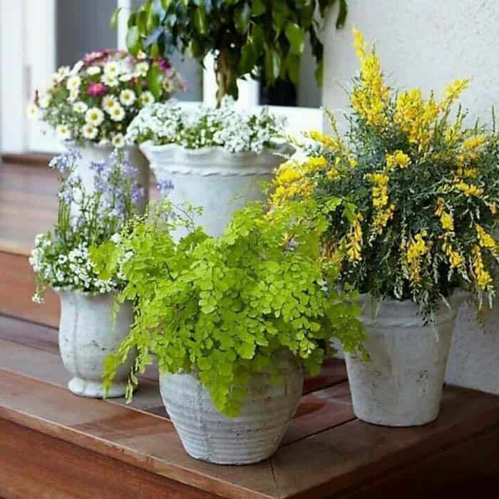 Enhance Your Porch Décor with Grouped Flowers