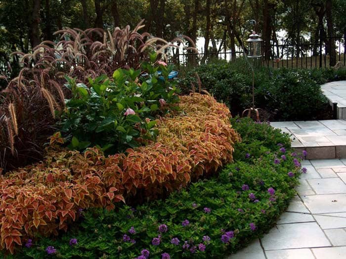 Alternating Colors in a Garden Bed